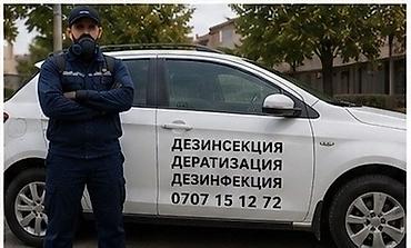 Дезинфекция, дезинсекция: Дезинфекция, дезинсекция, | Клопы, Блохи, Тараканы, | Транспорт, Офисы, Квартиры — 2