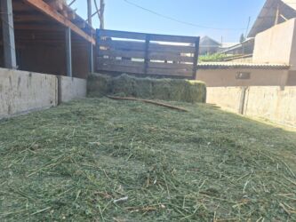 купить суперфосфат 50 кг: Грузо перевозки борд снимается до 5 тонн можно любой груз at lalafo.kg купить суперфосфат 50 кг: Грузо перевозки борд снимается до 5 тонн можно любой груз