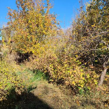 Продажа домов: Дом, 150 м², 5 комнат, Собственник, Евроремонт — 26