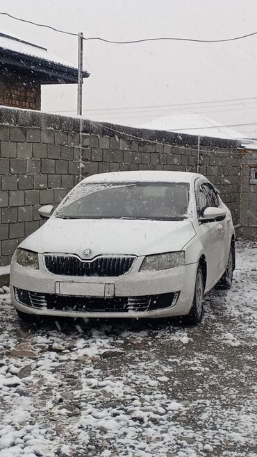Skoda: Skoda Octavia: 2016 г., 1.6 л, Автомат, Бензин, Седан — 17