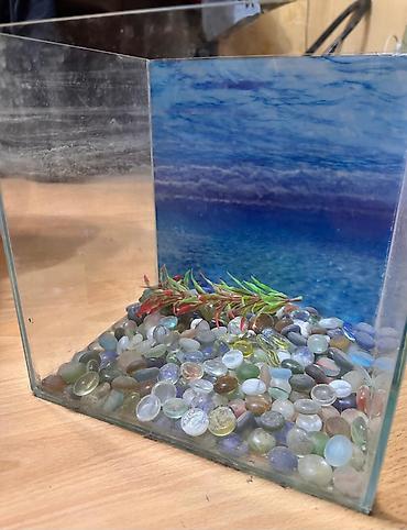 akvarium satışı: Dördbucaq akvarium, 10 l, Ünvandan götürmə, Ödənişli çatdırılma — 1