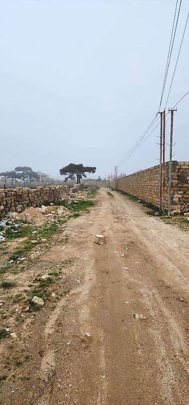 3000: 25 sot, Tikinti, Mülkiyyətçi, Kupça (Çıxarış) — 3