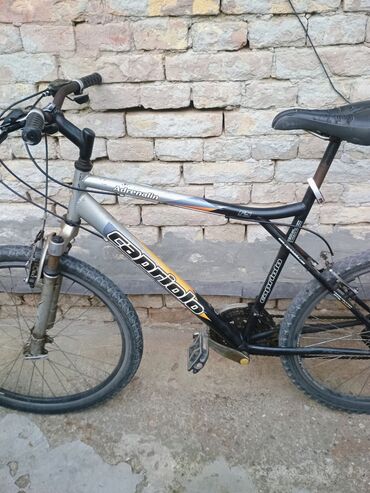 pegasus city bike: Biciklo na prodaju, Kapriolo, sa Simano menjacima, sa 21 brzinom, u