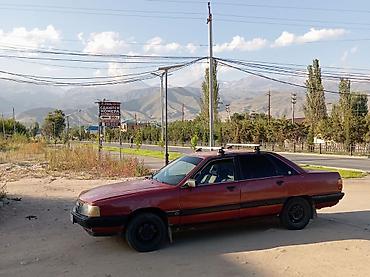 ауди а6 с4 1: Audi 100: 1989 г., 2.3 л, Кол менен иштөөчү, Бензин, Седан — 5