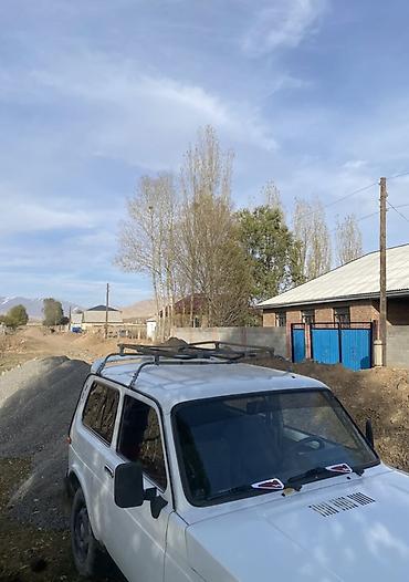 Унаа сатуу: ВАЗ (ЛАДА) 4x4 Niva: 2000 г., 1.7 л, Кол менен иштөөчү, Бензин, Жол тандабас — 5