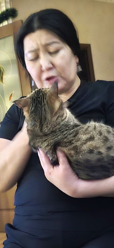 Рестораны, кафе: Сдаю помещения под любой бизнес по ул. 7апреля д.72 пересекает — 17