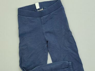 Spodnie: Spodnie 6 lat, wzrost - 116 cm., Bawełna, stan - Bardzo dobry