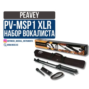 Рации и диктофоны: Динамический микрофон Peavey PV-MSP1 XLR(Набор вокалиста) ✅ Идеален