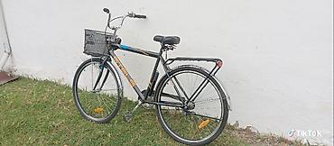 velo disk: Şəhər tipli Stels velosipedi - Gündəlik sürüş və şəhər içi yol üçün — 10