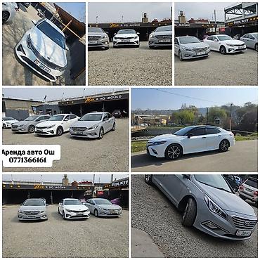 r 16: Аренда автомобилей в Оше - Легковые авто бизнес‑класса: седаны Toyota — 1