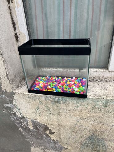 Akvariumlar: Dördbucaq akvarium, 5 l, Ünvandan götürmə, Ödənişli çatdırılma