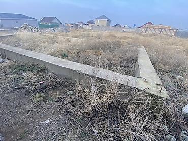 участок 3000: 5 соток, Для строительства, Красная книга — 8