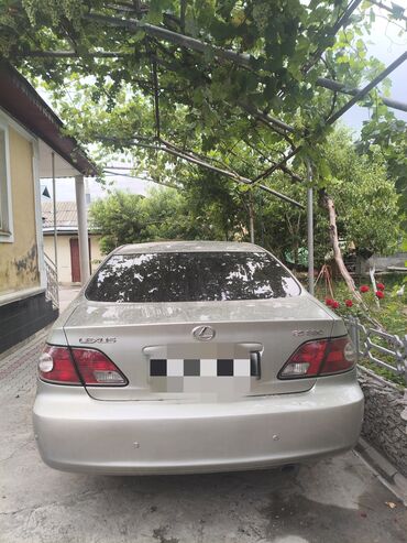 Lexus: Lexus ES: 2003 г., 3 л, Автомат, Бензин, Седан — 4