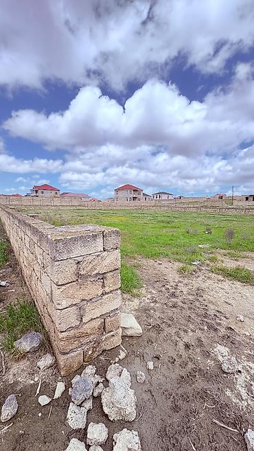 savalan torpag: 3 sot, Tikinti, Mülkiyyətçi, Kupça (Çıxarış) — 5