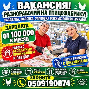 вахтовый: Требуется Разнорабочий на производство, Оплата: Дважды в месяц, Без опыта — 1