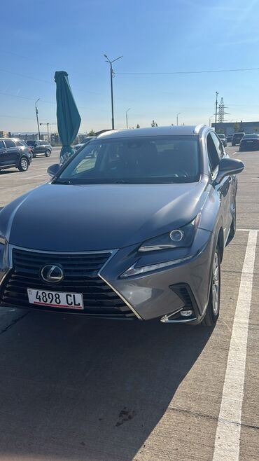 продажа инфинити фх35: Lexus NX: 2019 г., 2 л, Автомат, Бензин, Кроссовер