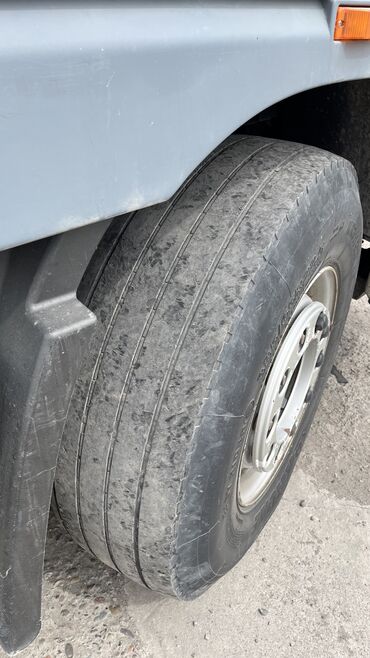 Тягачи: Тягач, DAF, 2008 г. — 9