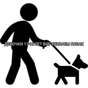 купоны бишкек: Выгул собак по всему Бишкеку