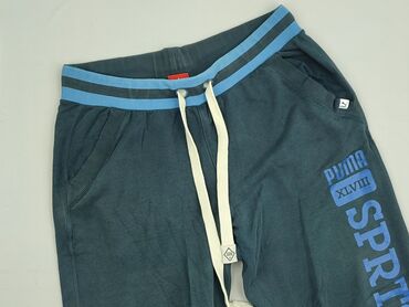 Tracksuit bottoms for men, L (EU 40), Puma, condition - Good