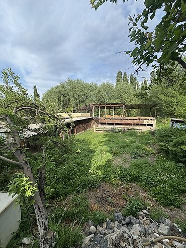 Продажа коттеджей и домов: ✨ Продаётся дом в с. Сокулук ✨ 🏡 Характеристики: • Участок - 7 соток — 5