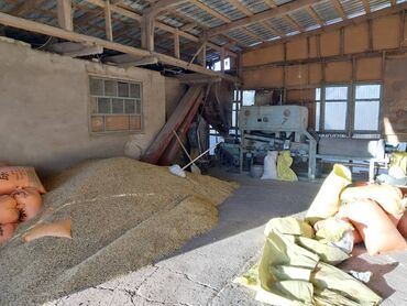 Другая коммерческая недвижимость: Иссык Кульская область,с.Тюп.Продается дом+ действующий бизнес — 4