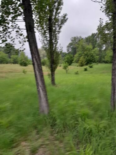 Torpaq sahələrinin satışı: 75 sot, Tikinti, Maklerlər narahat etməsin, Kupça (Çıxarış) -da lalafo.az — 16 Torpaq sahələrinin satışı: 75 sot, Tikinti, Maklerlər narahat etməsin, Kupça (Çıxarış) — 16