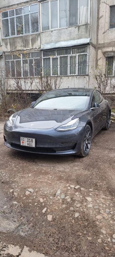 Tesla: Tesla Model 3: 2020 г., 7.5 л, Автомат, Электромобиль, Седан