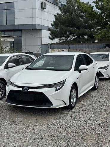 левин гибрид: Toyota Levin: 2021 г., 1.8 л, Вариатор, Гибрид, Седан — 2