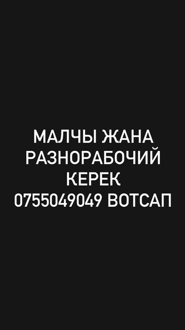 работа на поле: Талап кылынат Ар түрдүү жумуштарды жасаган жумушчу, Төлөм Ай сайын, Тажрыйбасыз