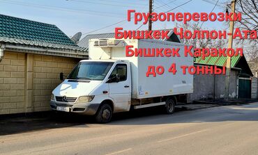 Портер, грузовые перевозки: Бус, Переезд, перевозка мебели, По региону, По городу, с грузчиком