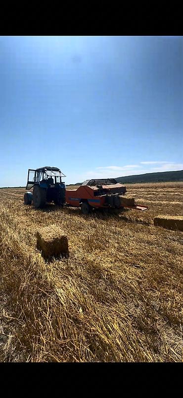 pişik yemi qiyməti: Məhsul: Hazır paçka (saman/ot bağlaması) Qiymət: 0.5 qəpik – hazır — 1