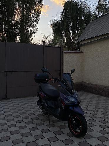Скутеры: 🔥 SAMURAI BENALI 180 КУБОВ 🔥 Продаю свой Samurai Benali 180cc в — 41