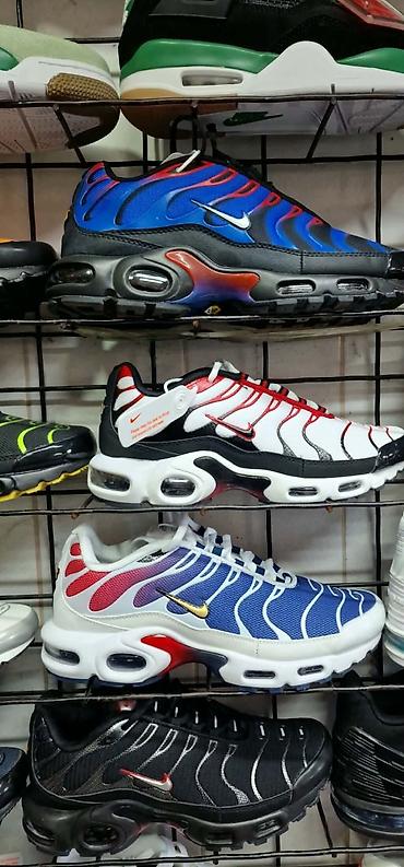 Patike: Nike Air Max Plus (Tn) patike – više kolorita Original u kutiji - — 4