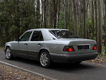 решетка на w210: Mercedes-Benz E-Class: 1994 г., 3.2 л, Автомат, Бензин, Седан — 2