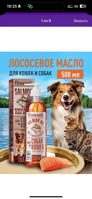 продается собака: Лососевое масло для собак кошек и грызунов ( забрать можно в 6 Мкр)