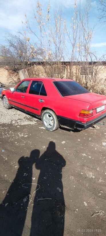 Mercedes-Benz: Mercedes-Benz W124: 1987 г., 2 л, Механика, Бензин, Седан