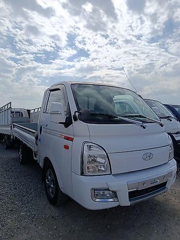 хунд: Легкий грузовик, Hyundai, Стандарт, Новый — 2