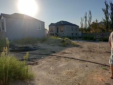 savalan torpag: Tikinti — 10