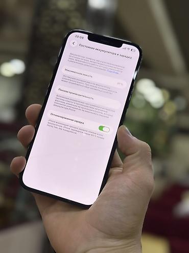 iphone 11 pr: IPhone 12 Pro Max, Б/у, 256 ГБ, Синий, Кабель, Коробка, 81 % — 3