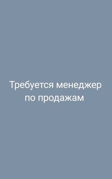 работа гостевой менеджер: Менеджер по продажам