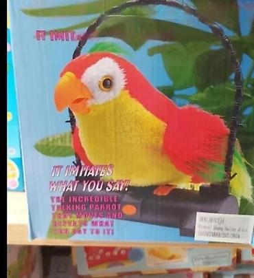 mango torbe srbija: PAPAGAJ KOJI PONAVLJA RECI NOV BRBLJIVI PAMETNI PAPAGAJ TOP | Cene — 8