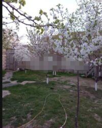 Uzunmüddətli kirayə evlər: 82 kv. m, 3 otaqlı — 8