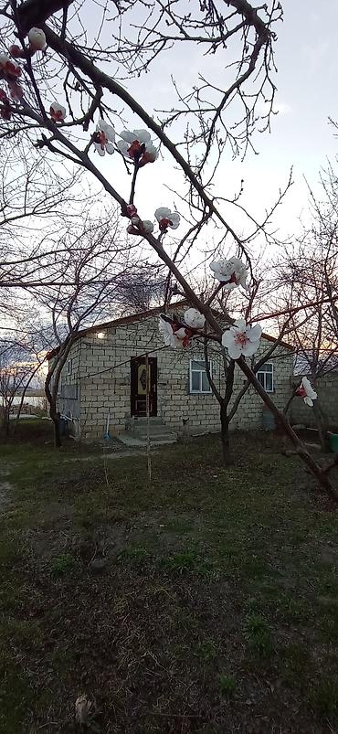 Torpaq sahələrinin satışı: 14 sot, Tikinti, Mülkiyyətçi, Kupça (Çıxarış) -da lalafo.az — 28 Torpaq sahələrinin satışı: 14 sot, Tikinti, Mülkiyyətçi, Kupça (Çıxarış) — 28