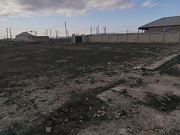 Torpaq sahələrinin satışı: Tikinti, Kupça (Çıxarış) — 9