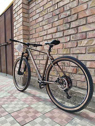 maxxis 29: Горный велосипед, Trinx, Алюминий, Новый — 5