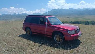 прямоток sti: Subaru Forester: 2000 г., 2 л, Автомат, Бензин, Универсал — 1