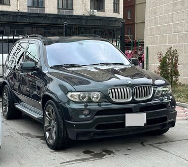 BMW: BMW X5: 2006 г., 4.8 л, Автомат, Бензин, Кроссовер