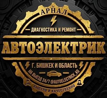 авто электирик: Автоэлектрик кызматтары, Компьютердик диагностика, Адистештирүү: Жеңил унаа, Баруу менен — 2