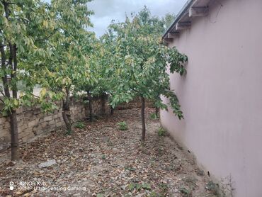 Həyət evləri və villaların satışı: Obyekt: Həyət evi Təsvir:Gözel tebiet panaraması var. Temiz dağ -da lalafo.az — 10 Həyət evləri və villaların satışı: Obyekt: Həyət evi Təsvir:Gözel tebiet panaraması var. Temiz dağ — 10