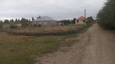 cilə dağı: 204 sot, Kənd təsərrüfatı, Mülkiyyətçi, Kupça (Çıxarış) — 8